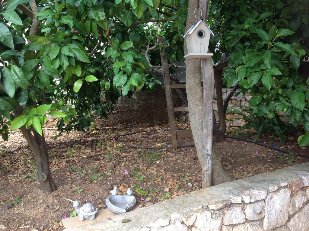 Apartmani Roic Stari Grad  Exterior foto